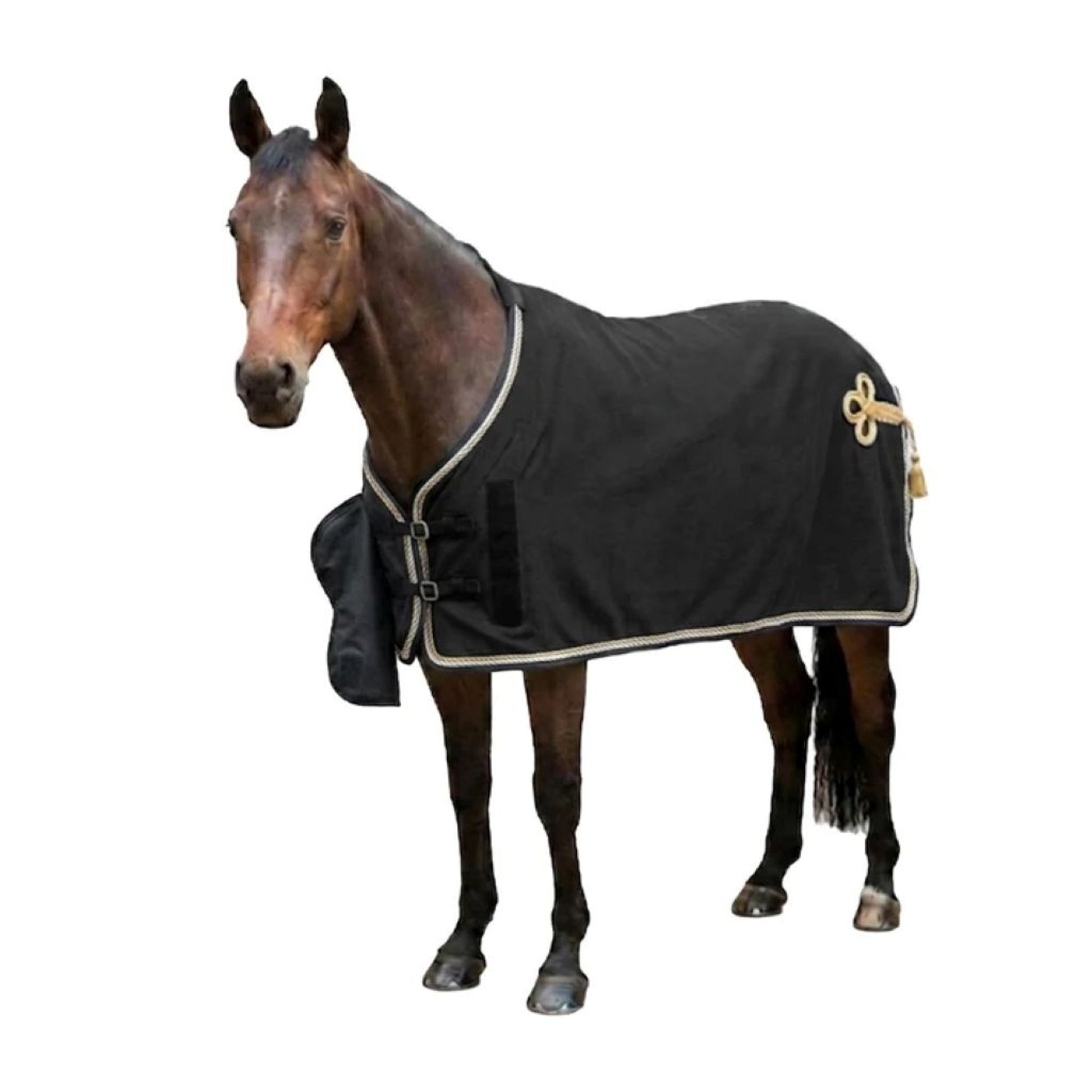 Equine Couture Soft Shell Dress Sheet