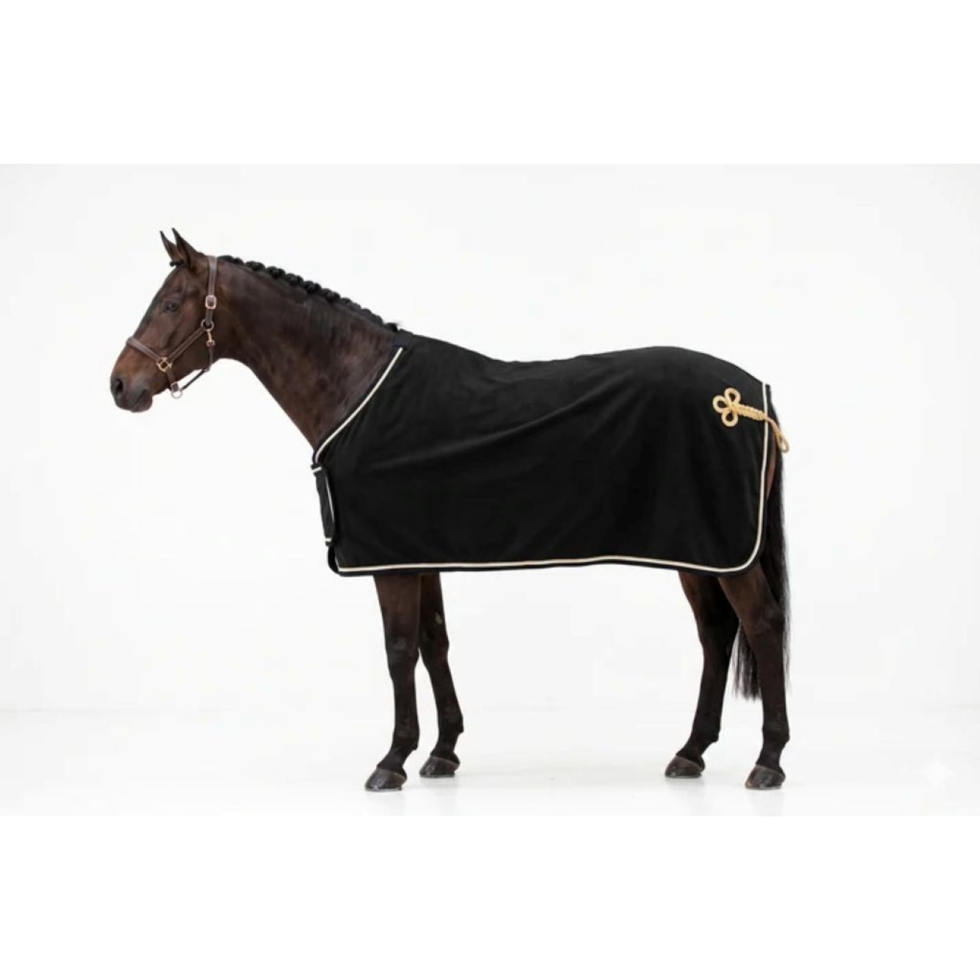 Equine Couture Soft Shell Dress Sheet