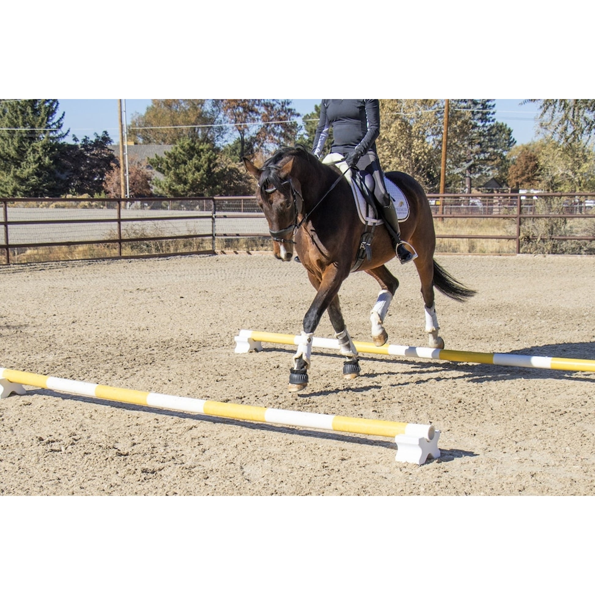Burlingham Sports Cavaletti Riser Blocks