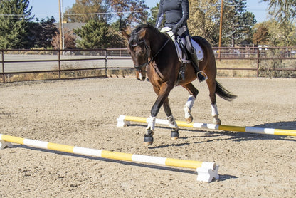 Burlingham Sports Cavaletti Riser Blocks