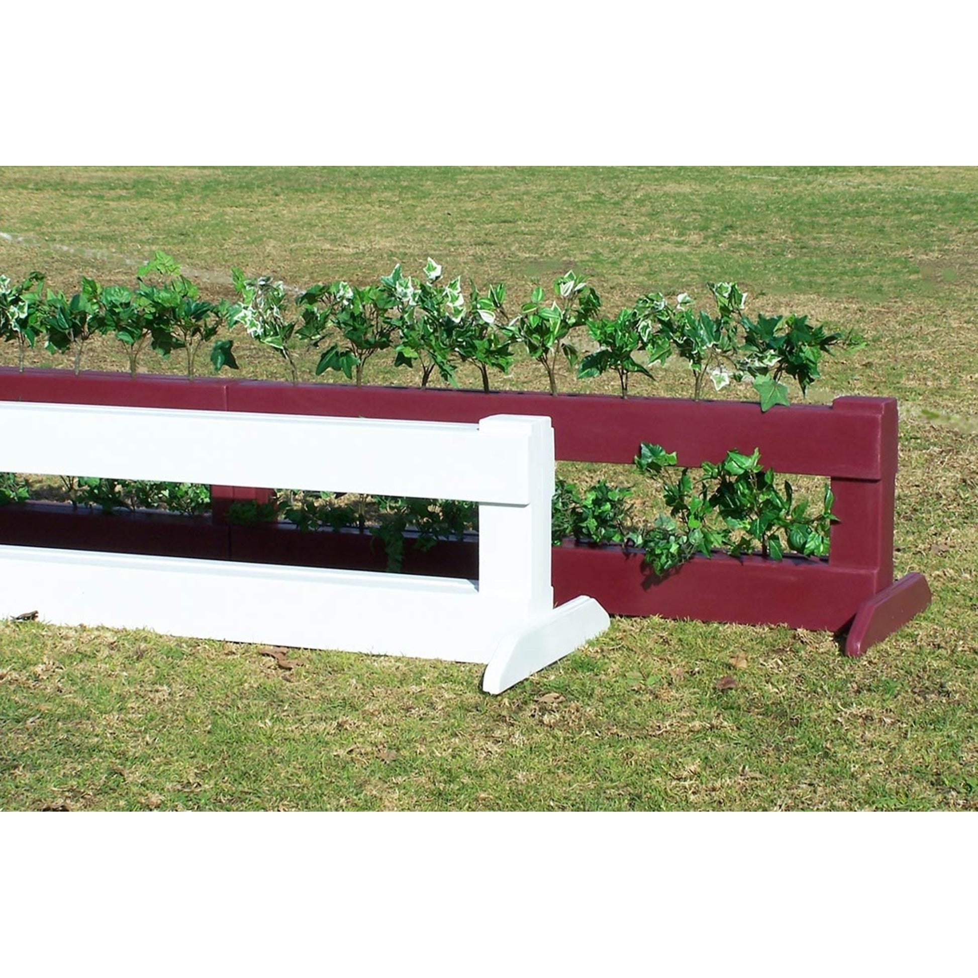 Burlingham Sports Brush Box