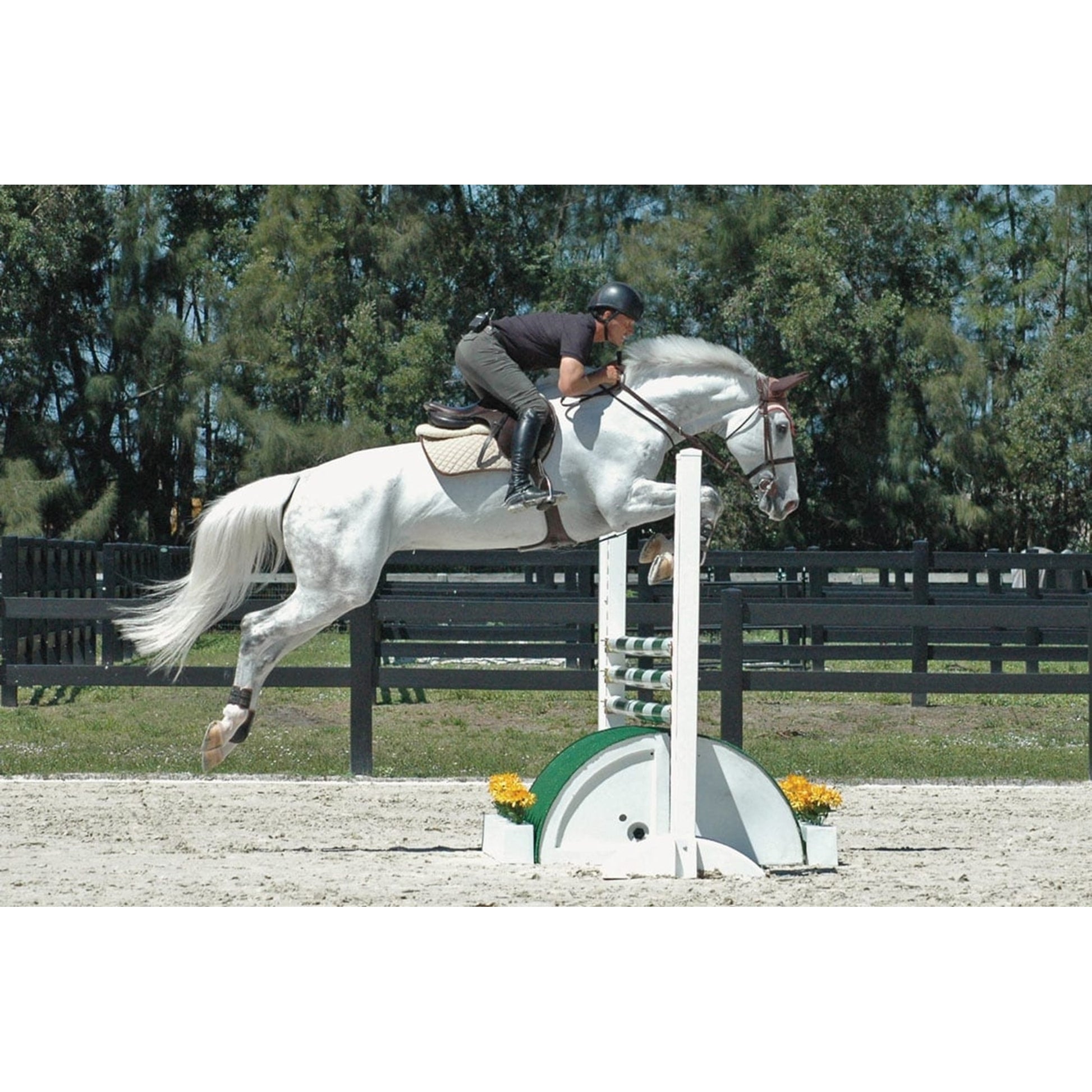 Burlingham Sports Roll Top