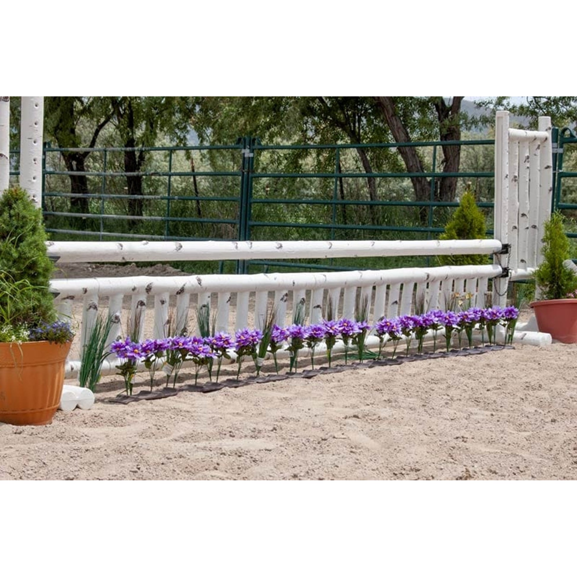 Burlingham Sports 10 Ft Natures Jump Poles - Set of 4