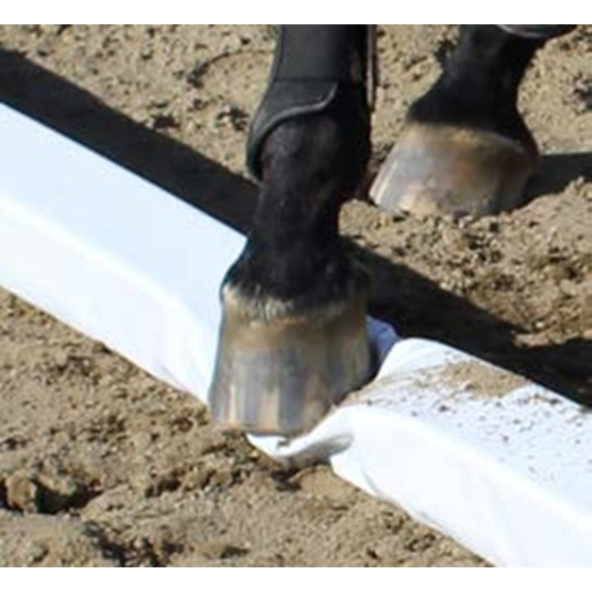 Burlingham Sports Soft Rails