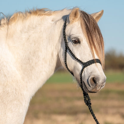 Cashel Flat Braid Pony Halter with 9' Lead