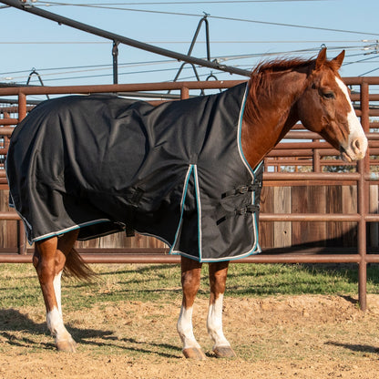 Cashel Lightweight Turnout Winter Blanket 100G
