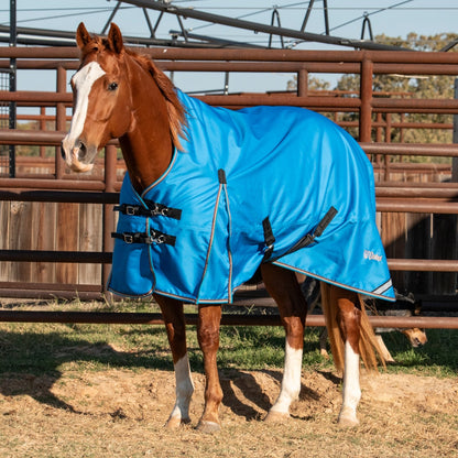 Cashel Lightweight Turnout Winter Blanket 100G