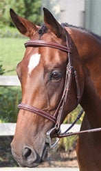 Nunn Finer Ravenna Bridle