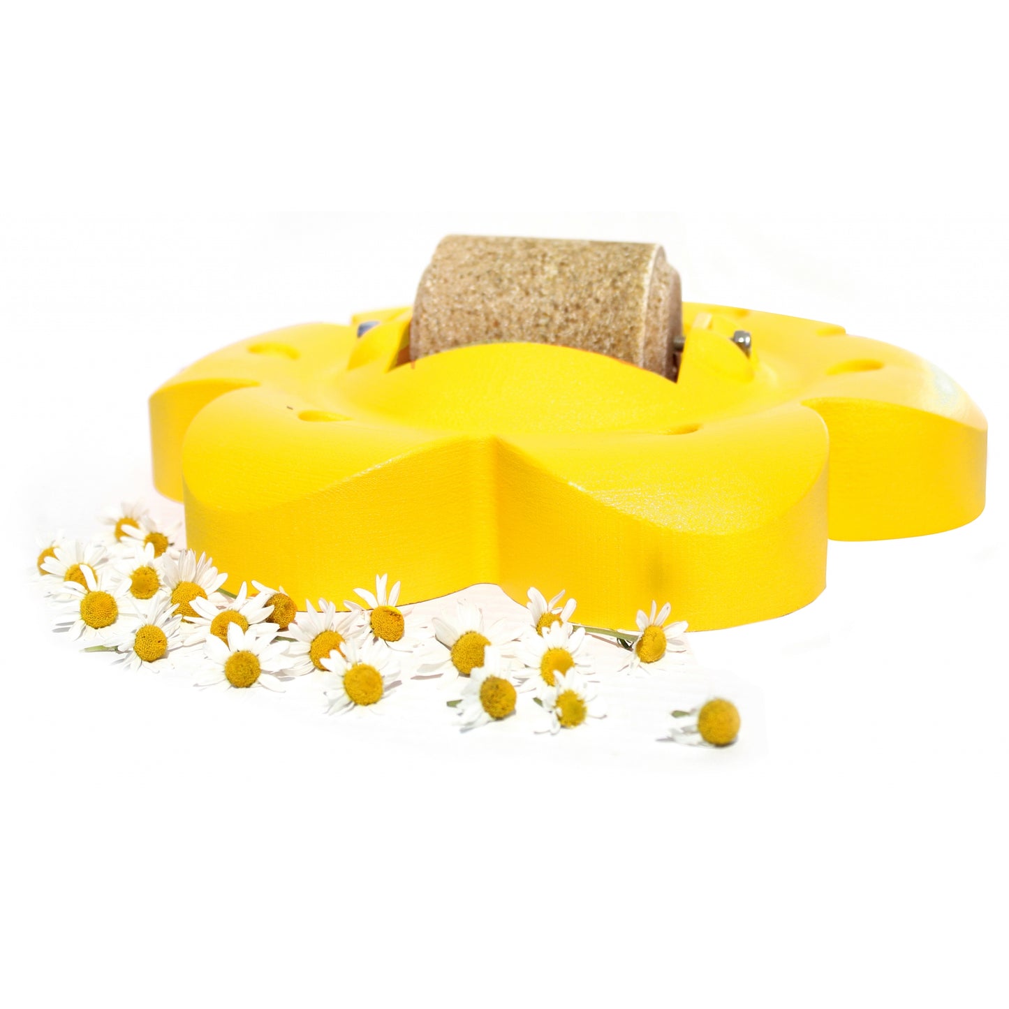 469833-yellow___apple_chamomile.jpg