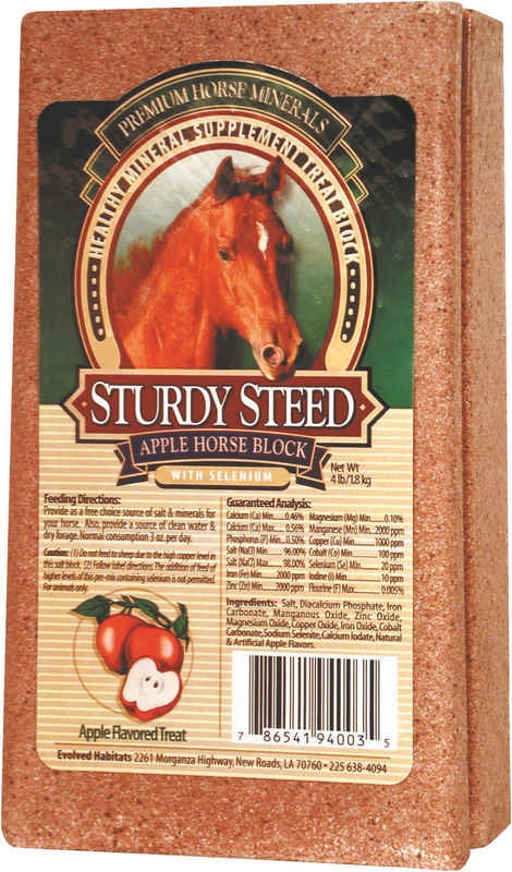 Sturdy Steed-Horse Block