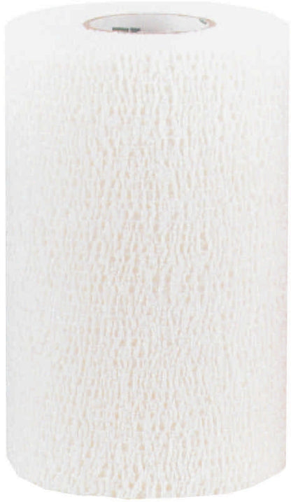Co-Flex Bandage