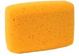 All Purpose Sponge