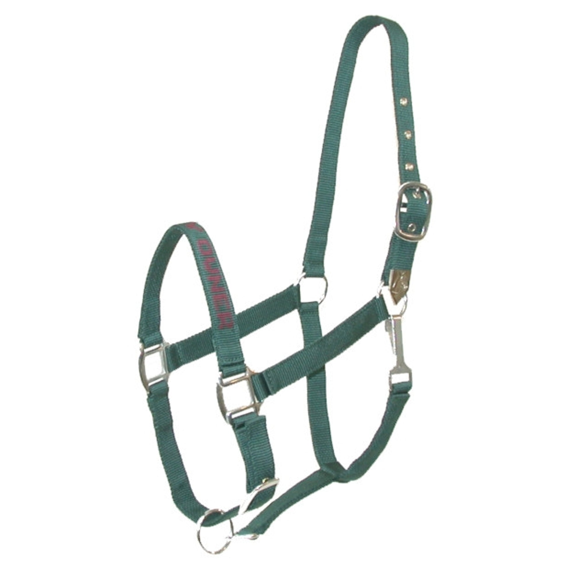 Gatsby I LOVE MY OWNER Nylon Halter