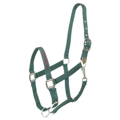 Gatsby I LOVE MY OWNER Nylon Halter