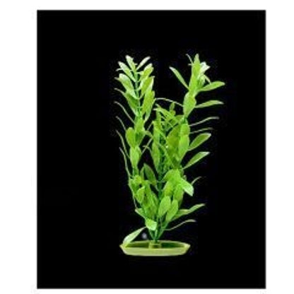 Aquascaper Aquarium Plant - Jungle Vallisneria