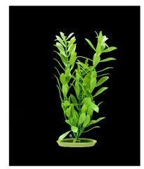Aquascaper Aquarium Plant - Jungle Vallisneria