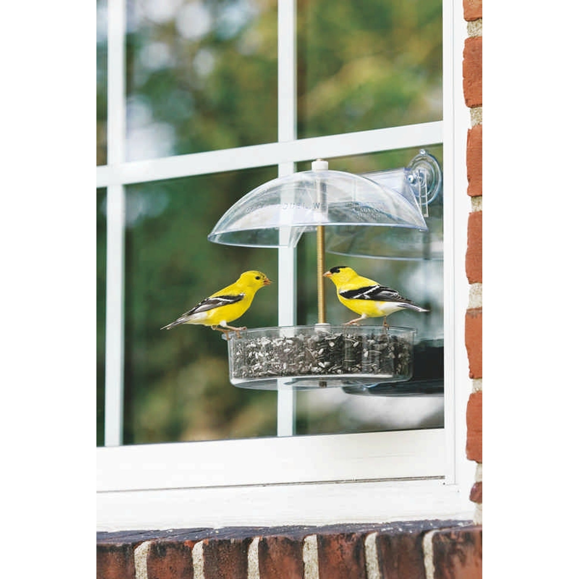 Unique Bird Feeders