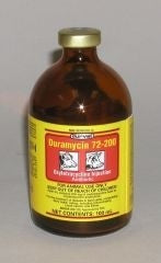 Animal Treatment