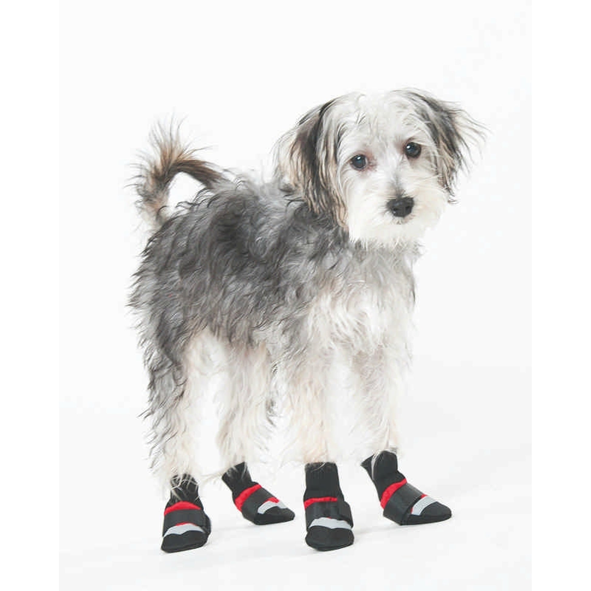 Extreme All Weather Dog Boots