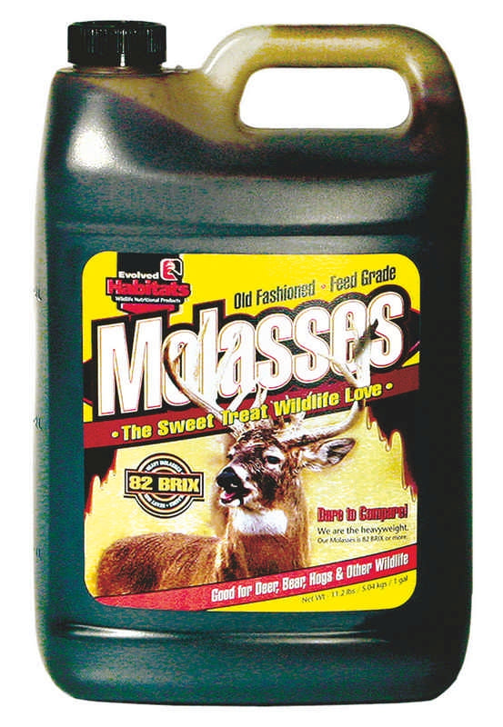 Molasses