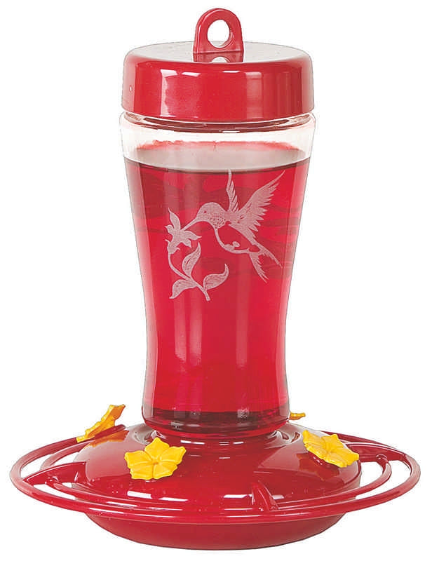 Glass Hummingbird Feeder