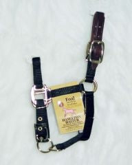 Hamilton Adjustable Halter With Leather Headpoll For Foals