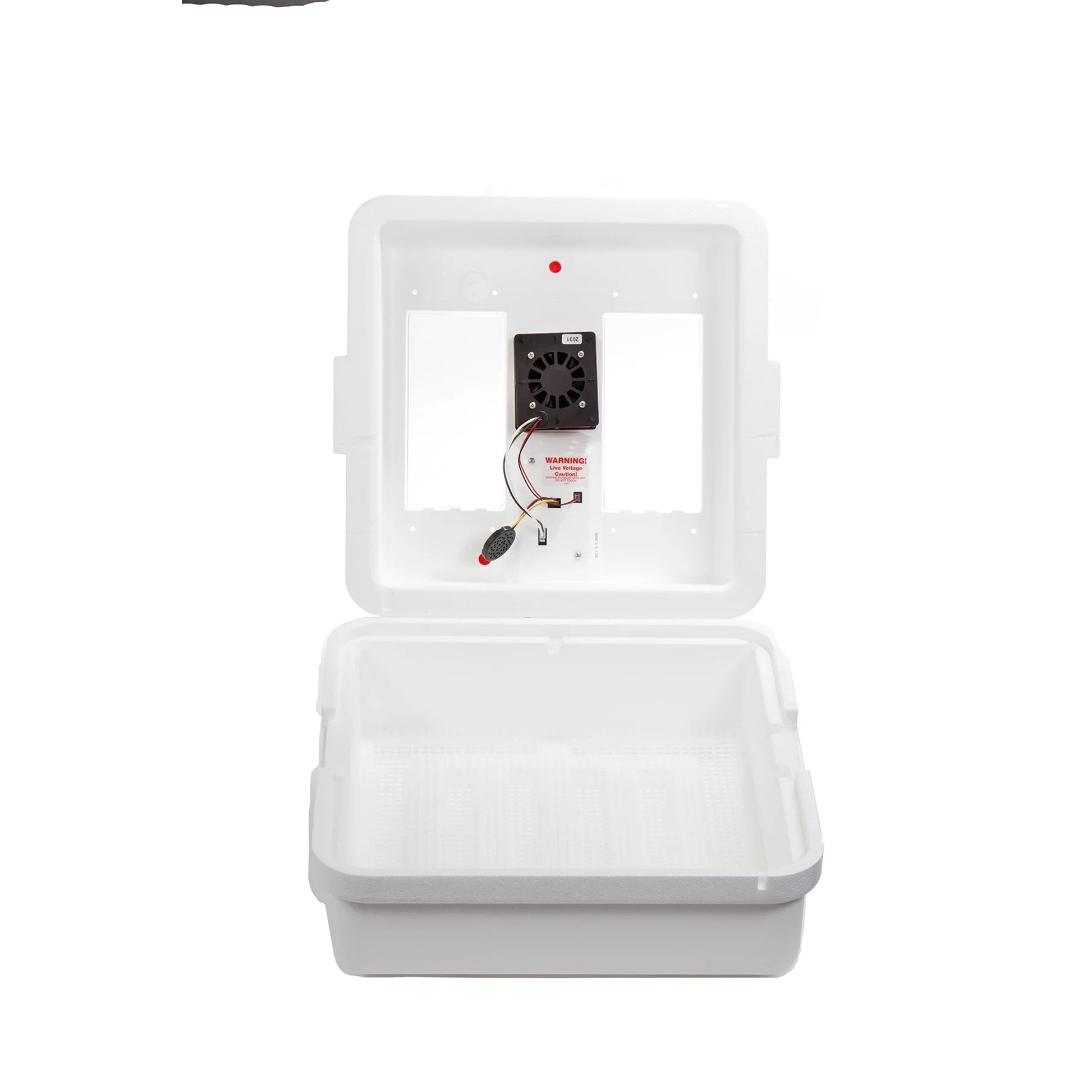 Little Giant Digital Egg Incubator