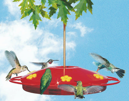 Hummingbird Oasis Feeder