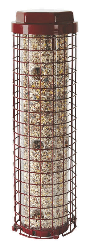 Squirrel Dilemma E-Z Bird Feeder