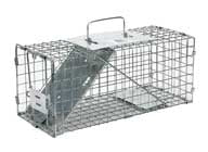 Professional Squirrel Trap