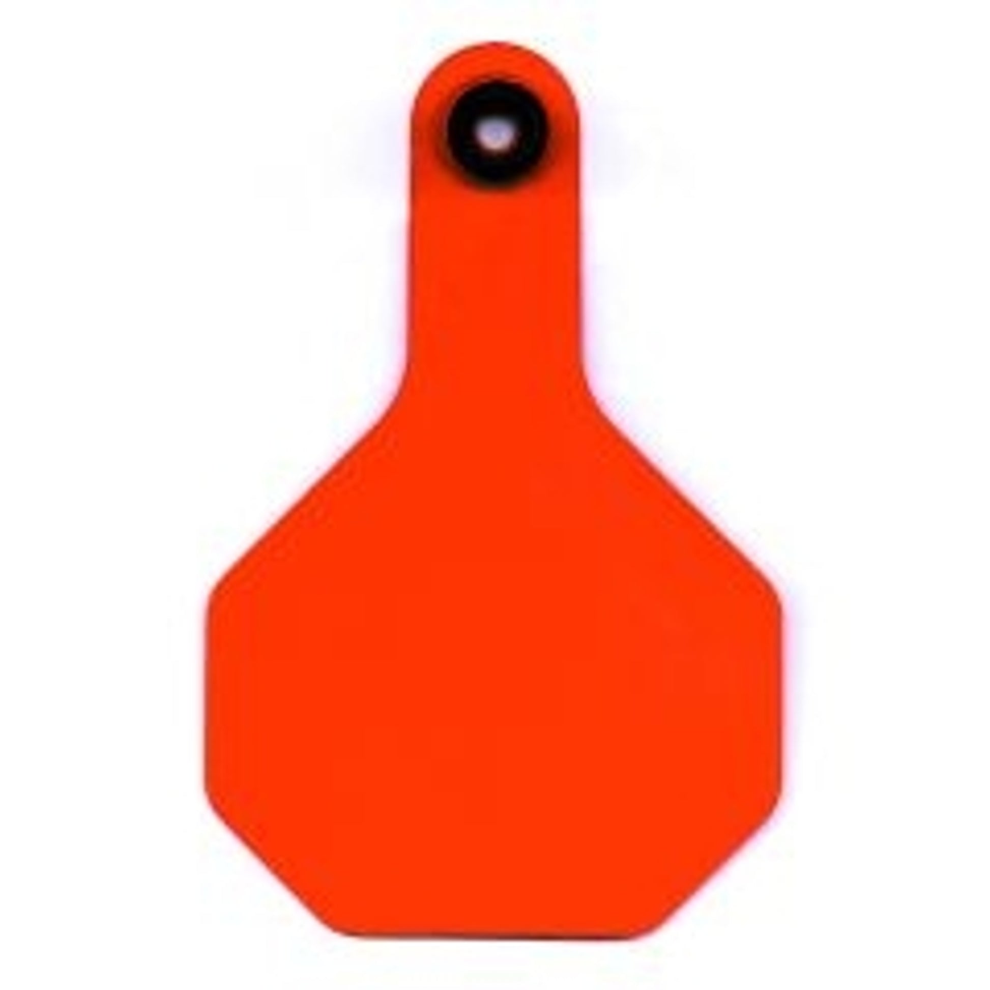 Identification Tags For Cattle