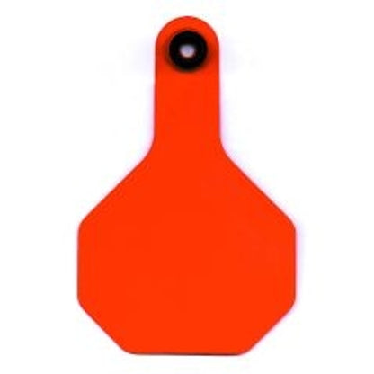 Identification Tags For Cattle