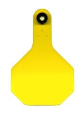 Identification Tags For Cattle