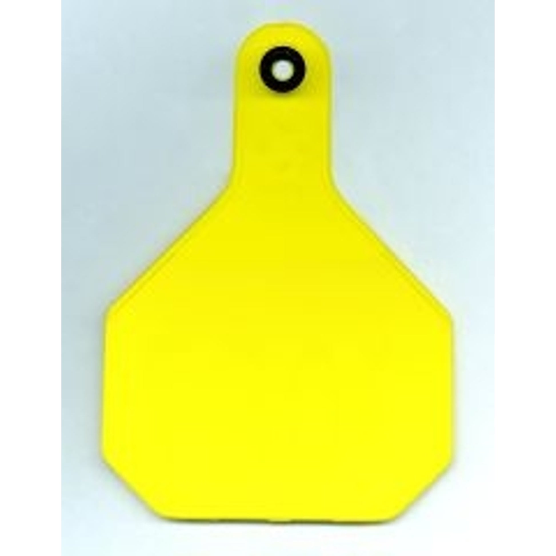 Identification Tags For Cattle