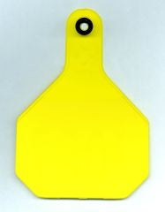Identification Tags For Cattle