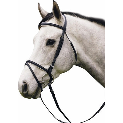 Henri de Rivel Pro Dressage Bridle with Flash and Web Reins