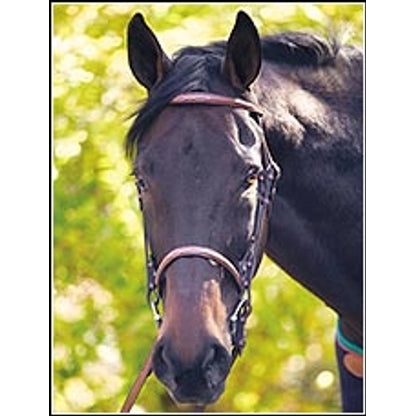 Henri de Rivel Advantage Fancy Raised Snaffle Bridle With Laced Reins