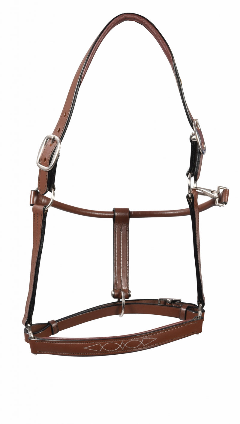 Henri de Rivel Pro Fancy Padded Rolled Throat Triple Stitched Halter