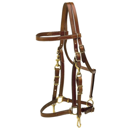 Tory Leather Halter/Bridle Combination Trail Bridle - Brass Hardware