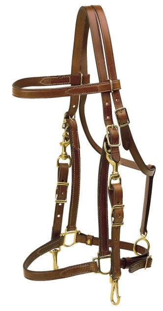 Tory Leather Halter/Bridle Combination Trail Bridle - Brass Hardware