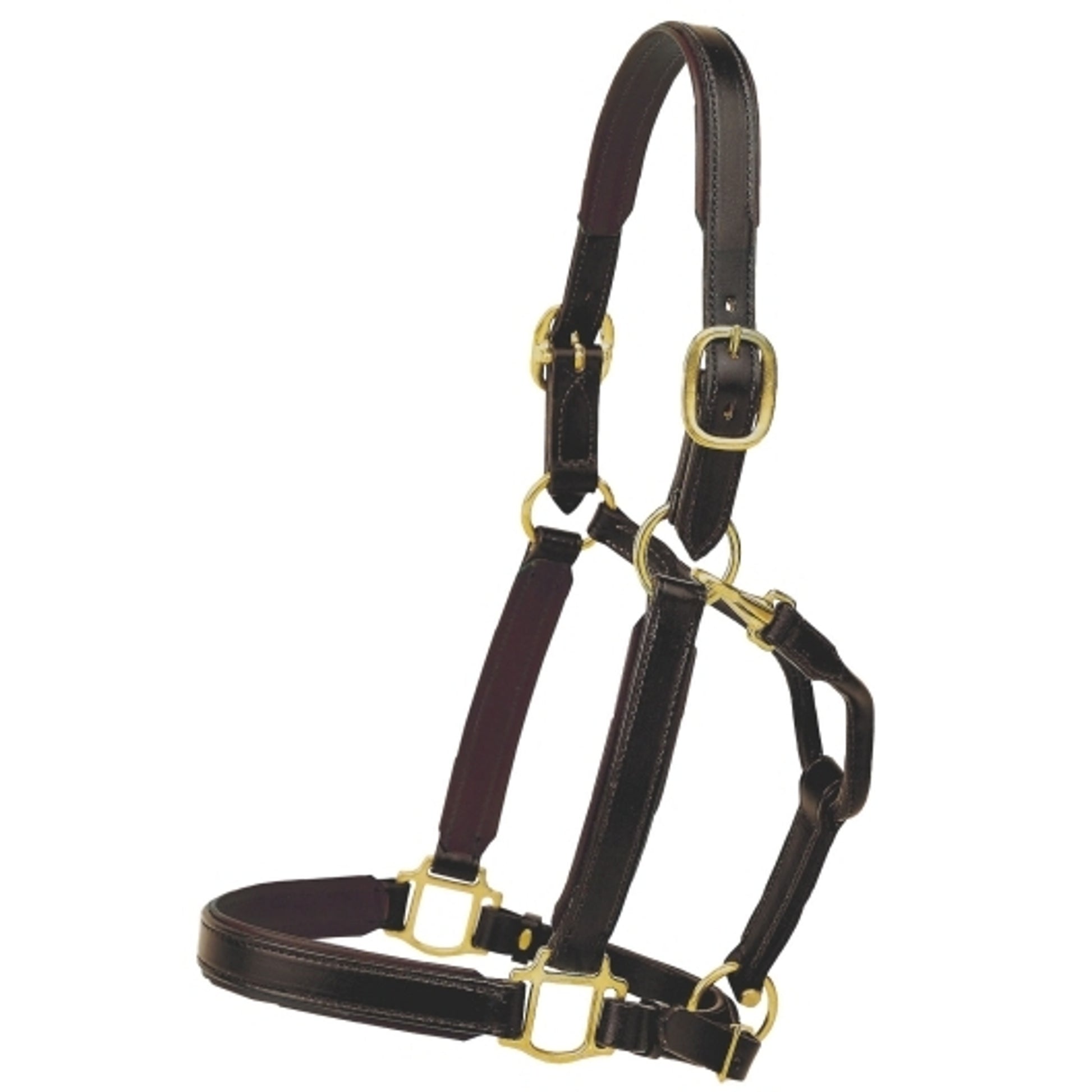 Tory Leather 1" Padded Halter with Brass Hardware