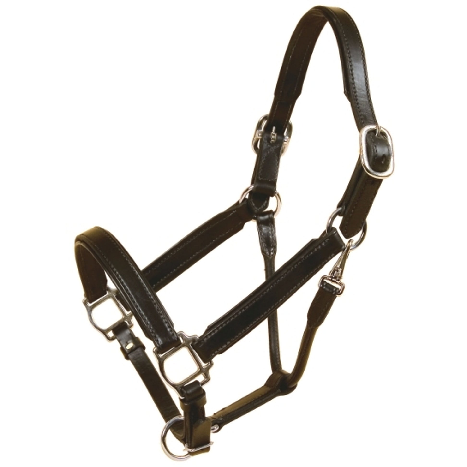 Tory Leather Bridle Leather Padded Halter with Nickel Hardware