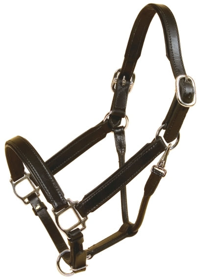 Tory Leather Bridle Leather Padded Halter with Nickel Hardware