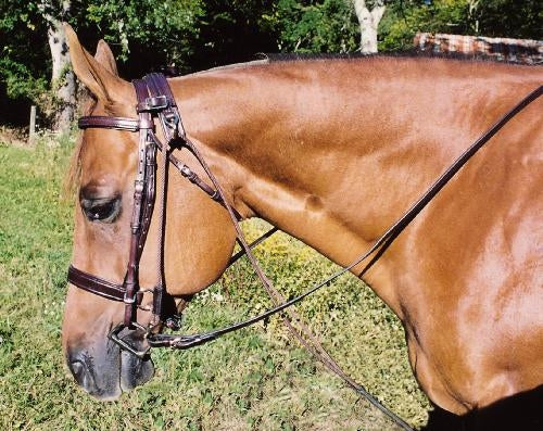 Tory Leather Chambon - Round Rope– HorseLoverZ