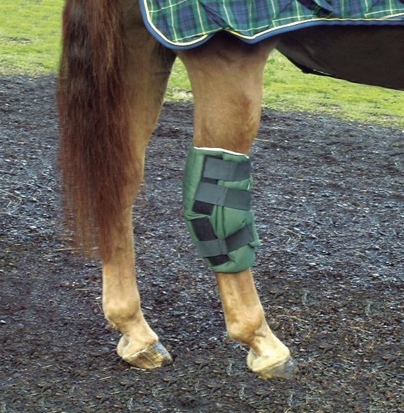Cashel Boomer's Hock Sock