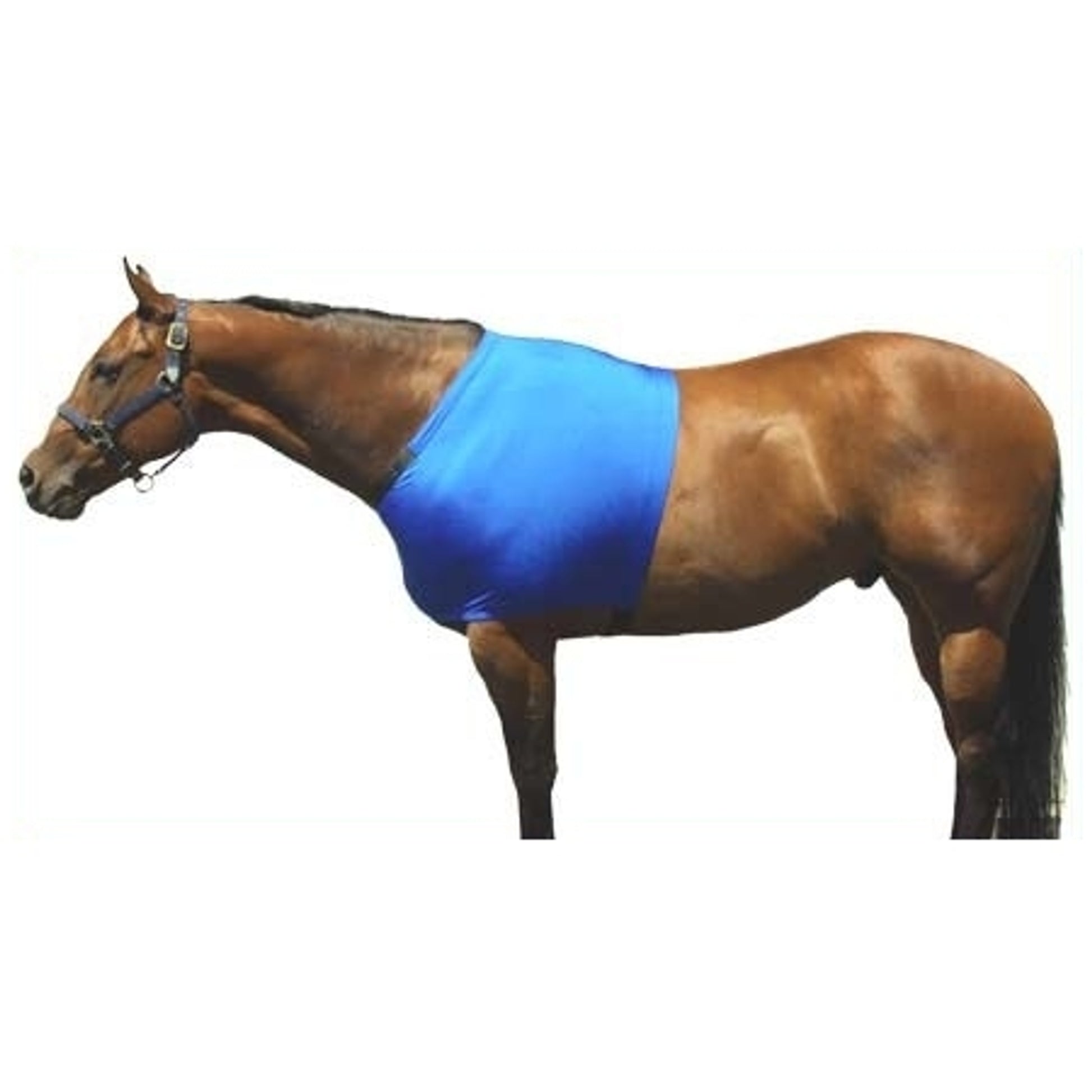Sleazy Lycra Shoulder Guard