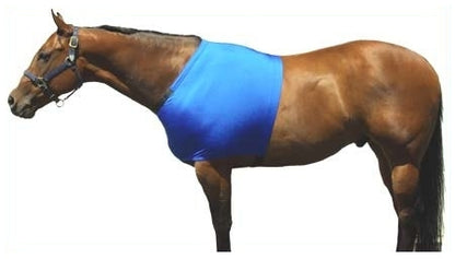 Sleazy Lycra Shoulder Guard