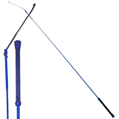 Colorful Training Whip