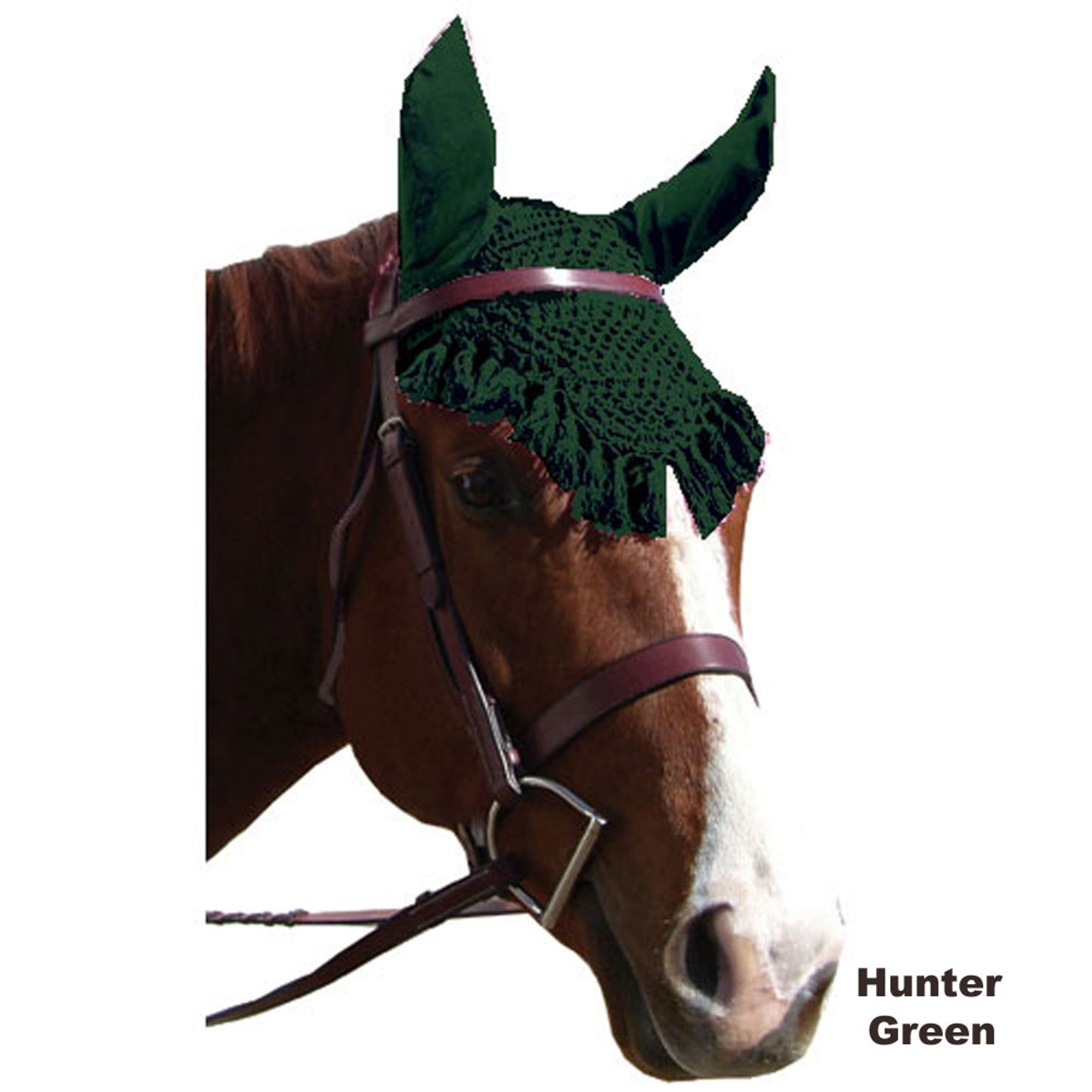 5-185699.jpg
