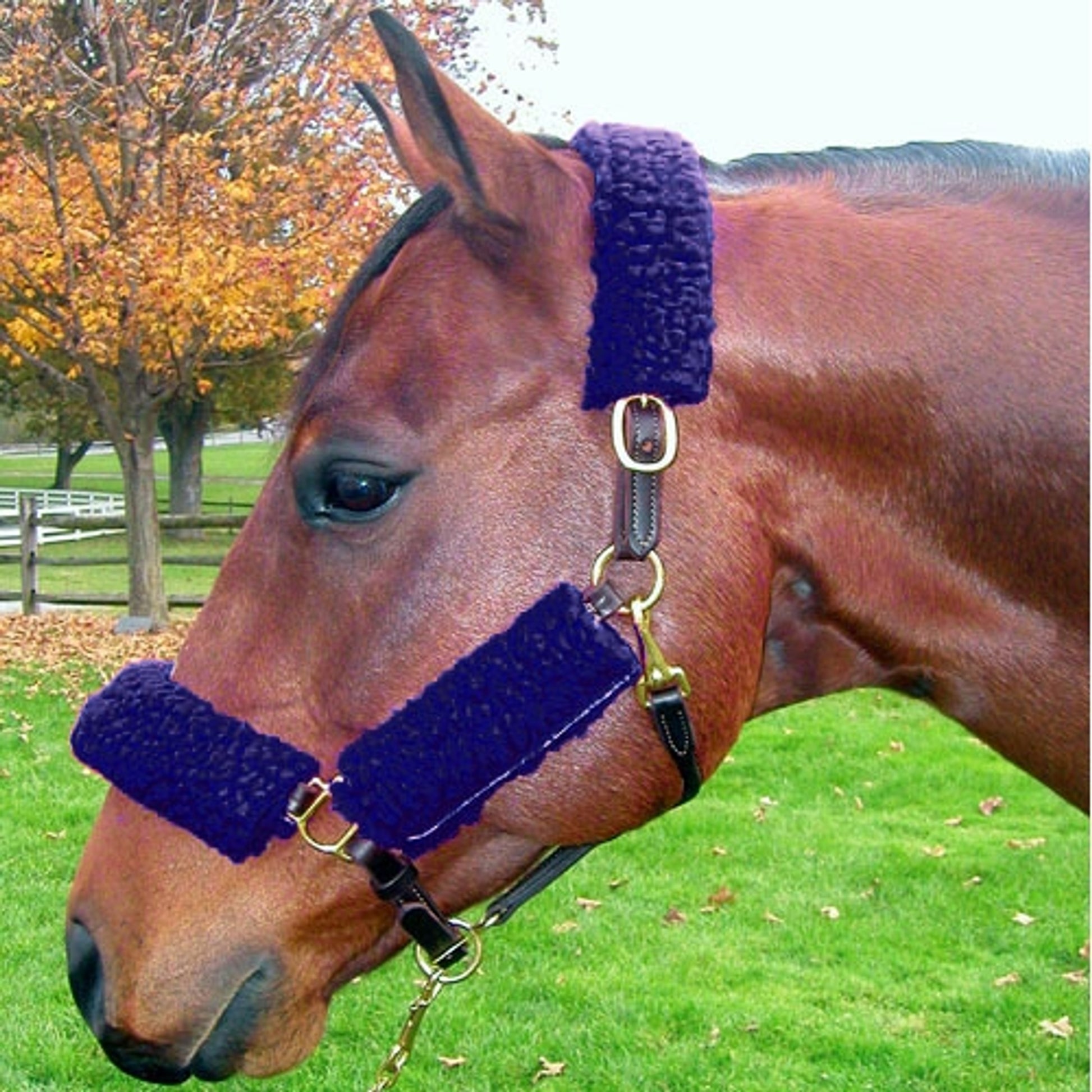 Basic Fleece Halter Tube Set